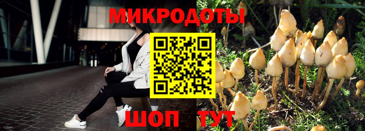 Псилоцибиновые грибы мицелий Сургут