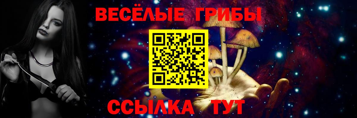 Сургут  Галлюциногенные грибы Psilocybine cubensis  где можно купить наркотик  Вход с VPN 